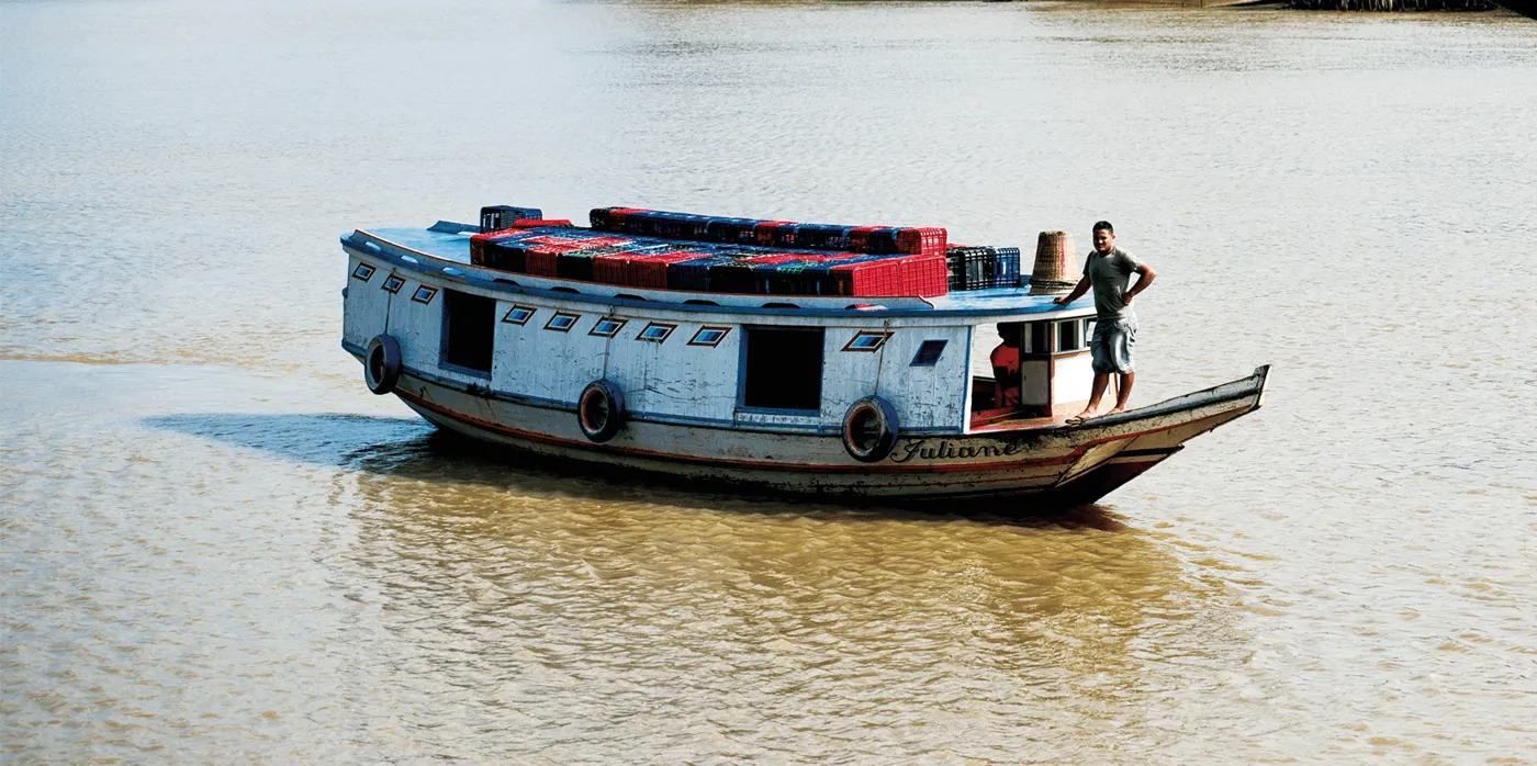 Transporte dos frutos — Curralinho (PA)